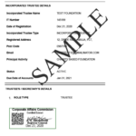 HOW TO GET E STATUS REPORT FROM CAC IN NIGERIA